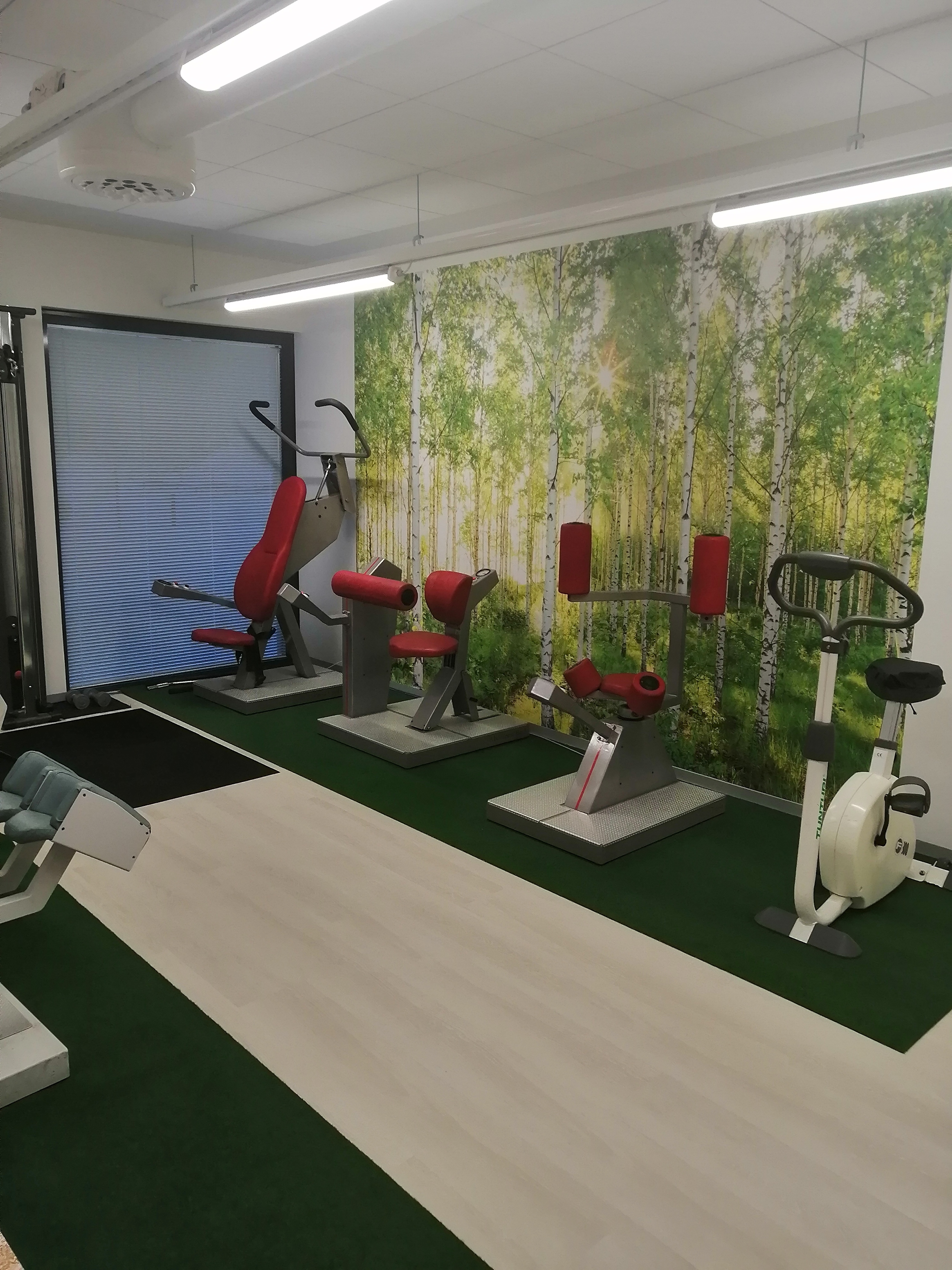 Kaukovainion Fysioterapia